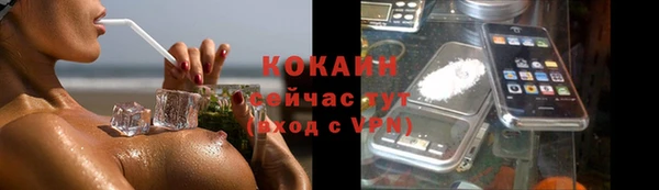 дживик Богородск