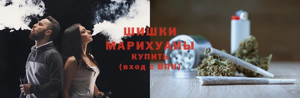 дживик Богородск