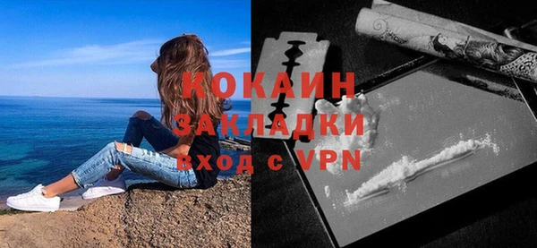 дживик Богородск