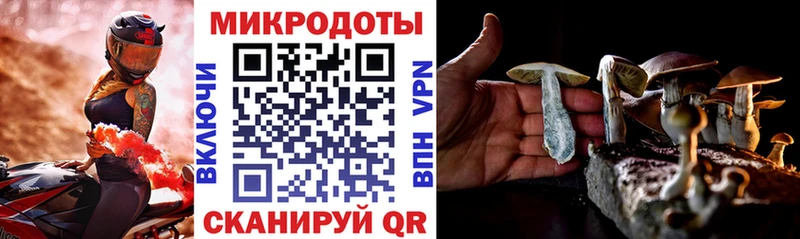 Купить закладки  Галич  Псилоцибиновые грибы Cubensis 